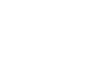 Emirates Logo