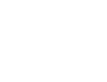 Etihad Logo