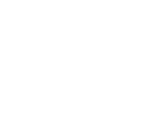 PSAA Logo