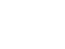 Safran Logo
