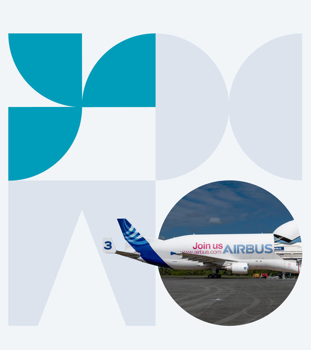 Beluga inside a shape